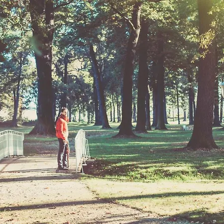 Palac Brunow - Wellness & 4* Lwowek Slaski