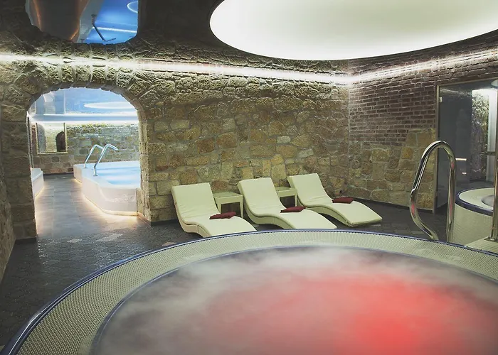 Palac Brunow - Wellness & 4* Lwowek Slaski