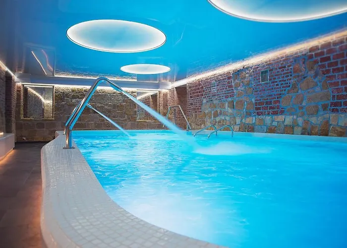 Aparthotel Palac Brunow - Wellness & Lwowek Slaski