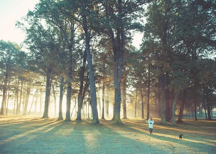 Lägenhetshotell Palac Brunow - Wellness & 4*